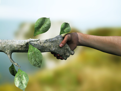 source: http://catalystreview.net/2009/07/a-working-definition-of-“sustainability”/